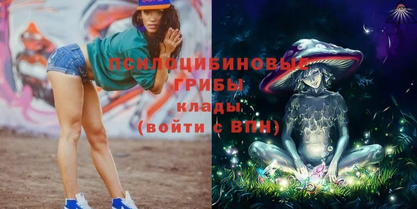 Альфа ПВП Беломорск