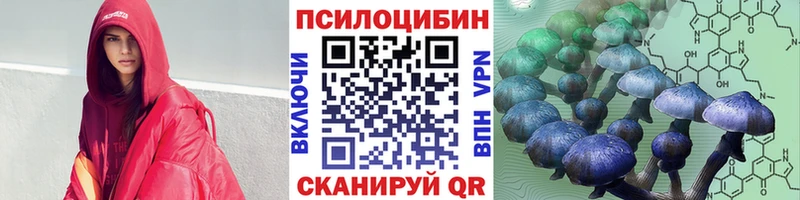 закладка  mega ТОР  Галлюциногенные грибы прущие грибы  Когалым 
